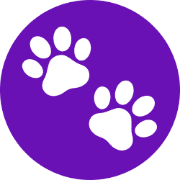 PetShot Pro
